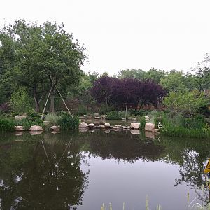 Chinese Wetlands Area