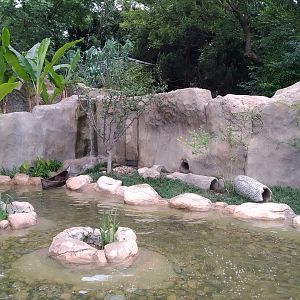 Second Otter Exhibit