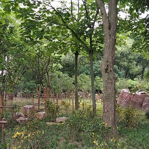 Back Of Small Carnivore Exhibit