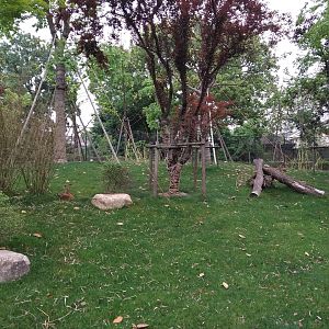 Chinese Water Deer Enclosure
