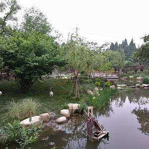 Red-crowned Crane Island