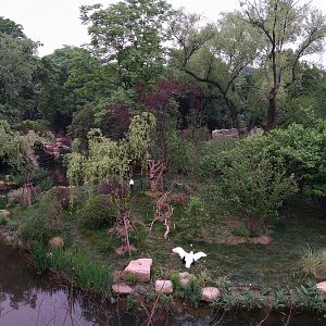 Red-crowned Crane Island