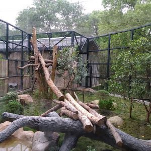 Leopard Exhibit