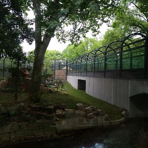 South Chinese Tiger Exhibit