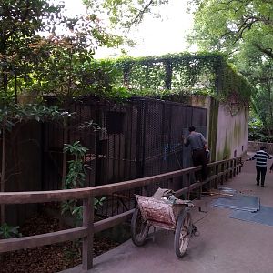 Boarding Up The Old Leopard Cat Exhibit