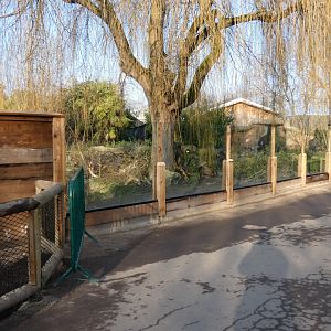 Giant Otter viewing area
