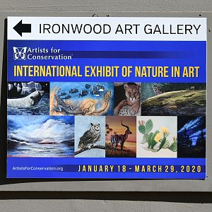 current gallery exhibit