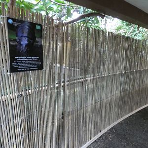 Screen in Pygmy Hippo house