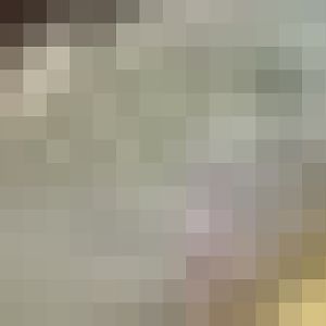 Amur leopard cub - Colchester Zoo