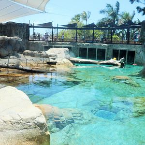 Polar Bear Shores - Main Enclosure