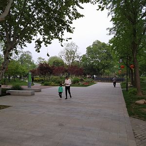 Current State Of The Site