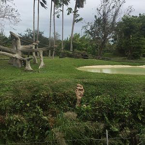 Chimpanzee Enclosure