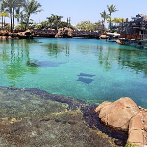 Shark Bay - Outdoor Viewing Area
