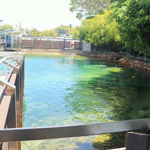 Seal Harbour - First Seal Enclosure