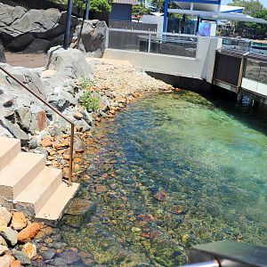 Seal Harbour - Second Seal Enclosure