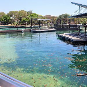 Seal Harbour - Third Seal Enclosure