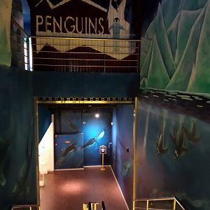 Penguin Stairs
