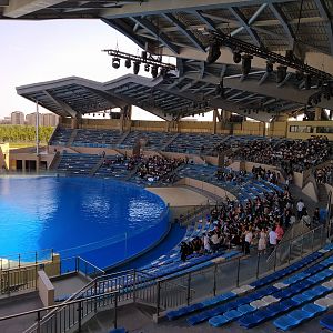 Killer Whale Theatre