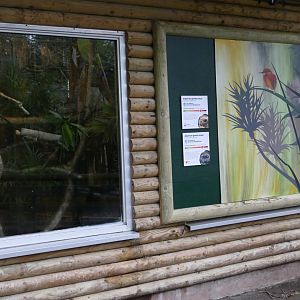 Gentle lemur house, January 2020