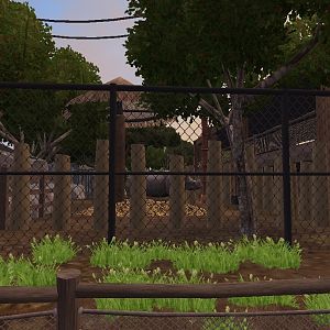 Guess This Rhino Exhibit