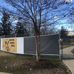 1/2 of Giraffe Construction