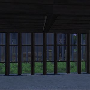 Sri Lankan Elephant Bull Outside View