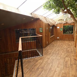 Upper Tropical House viewing area