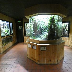 Tropical House vivariums