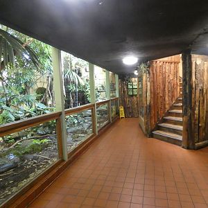 Lower Tropical House viewing area
