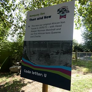 50th anniversary signage