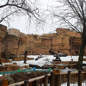 Empty Lion Exhibit