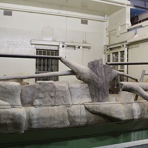 Former Elephant Stalls - Pachyderm House