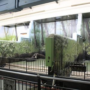 Giant Anteater Indoor Exhibit - Pachyderm House