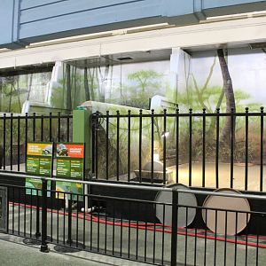 Tapir and Tortoise Indoor Exhibits - Pachyderm House