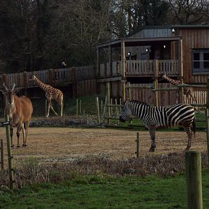 "Benoue National Park" Wild Place
