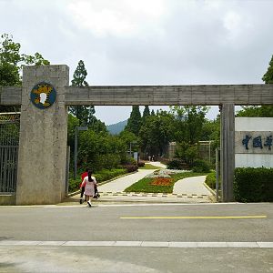 South China Tiger Complex