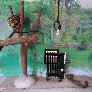 Python Exhibit