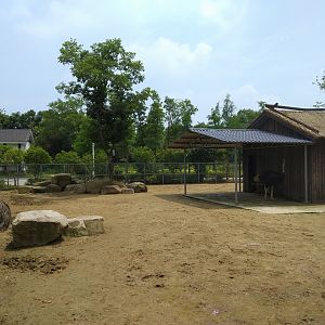 Ostrich Exhibit