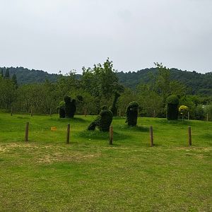 Animal Topiary