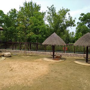 Red Kangaroo Exhibit