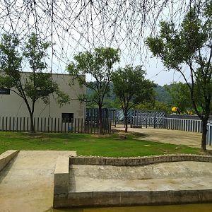 Asian Elephant Exhibit