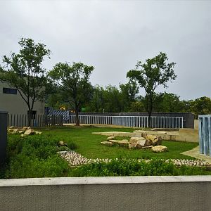 Asian Elephant Exhibit