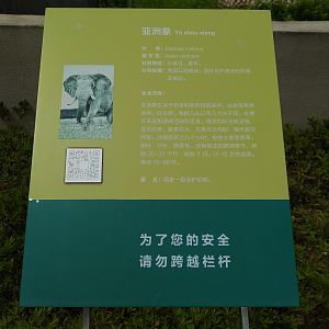 Asian Elephant Signage