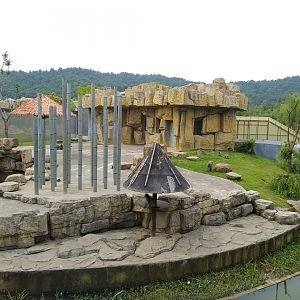 Japanese Macaque Exhibit