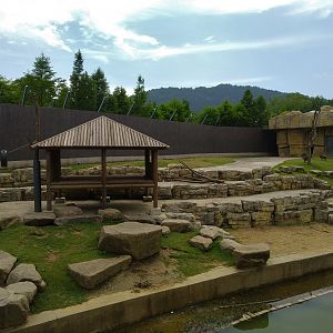 Baboon Exhibit