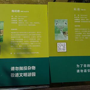 Sika and Fallow Deer Signage