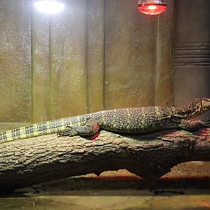 Asian Water Monitor - 19 January 2020