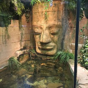 Reticulated Python exhibit