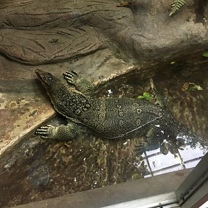 Asian Water Monitor