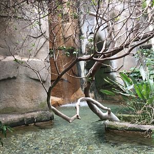 Waterfall at End of Aviary